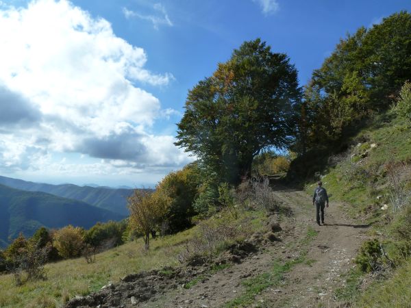 ESCURSIONE SOPRA CARREGA LIGURE.jpg